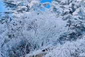 乳源未来一个月天气，明天乳源天气怎样？