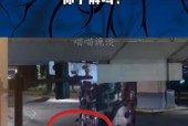 上海立交桥龙柱事件，上海桥梁龙柱