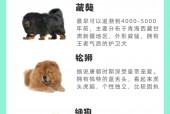 最贵的狗排名榜前十名，最贵的狗排名榜前十名品种？
