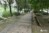 江苏徐州睢宁县天气，徐州市睢宁县天气预报一周