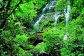 四川邛崃市天气预报？四川邛崃市天气预报30天？