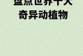 真实巨型天蛾人图片，真实巨型天蛾人图片高清？