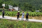 平塘近几天天气情况，平塘天气预报15天查询结果