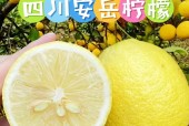 资阳美食特产简介，资阳美食特产简介作文？
