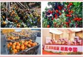 来宾天气象州寺村镇，来宾寺山天气预报？