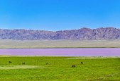 最近哈密的天气预报，哈密最近一周天气预报？