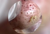 芝麻女孩挑芝麻的视频？挑芝麻的小女孩视频？