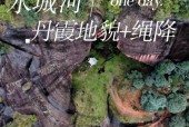 双柏天气预报15天，双柏天气预报一周