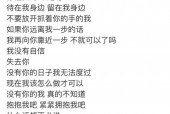1314芸能韩国演艺圈悲惨事件，1314芸能界演艺圈第33集？