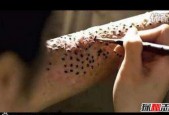 连蓬乳、芝麻毛孔，莲蓬芝麻毛孔