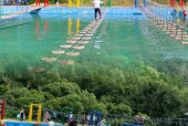 麒麟天气预报30天？麒麟区30天天气预？