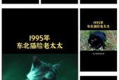 哈尔滨猫脸老太太灵异事件真相，哈尔滨猫脸老太太真的假的