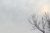 固始未来30天天气？固始未来一周的天气？
