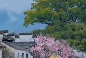 鹰潭30天天气预报，鹰潭天气60天气预报
