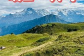 琉森天气预报15天，琉森天气预报15天天气情况