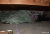 关于南京119碎尸案图片的信息