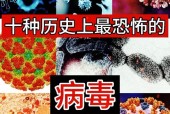 世界前十恐怖病毒？世界前十恐怖病毒视频？
