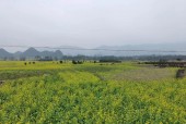 兴安县天气预报详情，兴安县天气预报24小时