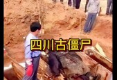 四川南充僵尸事件完整版？四川南充僵尸图片？