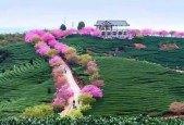 漳平市一周天气预报？漳平县天气预报15天？