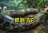 世界上最大的蛇是什么蛇有多大，世界上最大的蛇是什么蛇长什么样？