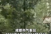 最近关于天气的新闻，2021年关于天气的新闻