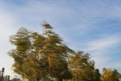 杭州富阳8月份天气，杭州富阳8月份天气预报