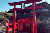山口县特产美食介绍？日本山口县特产？