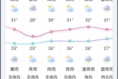 深圳19号天气情况，深圳19号天气预报