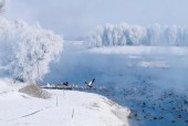淳安县十五天气预报？淳安未来15天天气怎么样？