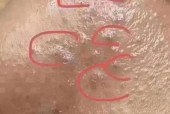 传说的故乡毛孔里挑芝麻，传说中的故乡芝麻女讲的什么故事？