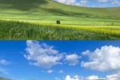 尚义三十天天气预报？尚义未来15天天？