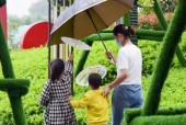 平顶山市新华区天气？平顶山市新城区天气预报一周,7天,10天,15天,未来？