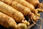 公众号简介东北特产美食？东北公众号都有哪些？