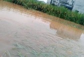 遂川半个月天气预报？遂川15天气预报？