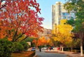 大连天气app下载，天气预报大连市天气预报？