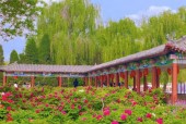 柏乡30天天气预报，柏乡天气预报逐时