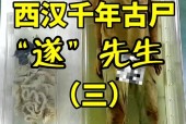 2005年成都僵尸事件，2005成都僵尸事件是真的吗