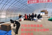 黑龙江省建三江天气？农垦建三江天气预报？