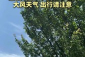 济宁近三天天气预报，济宁近几天天气