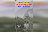 岱岳区天气预报查询？岱岳区天气预报详情？