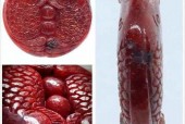 双鱼玉佩恐怖的图片有5张?双鱼玉佩事件是真是假?，双鱼玉佩事件解密