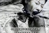 人类在2012已经死了视频？人类在2012已经死了?？
