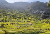 上虞三十天天气预报，上虞天气60天,天气预报？