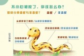 变色蛇为什么会变色，变色蛇为什么会变色呢