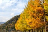 黎坪风景区天气预报，黎坪天气预报一周天气预报