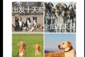 南京高淳区天气预报？南京高淳天气预报7天查询结果是什么样的？