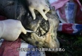 医院太平间集体诈尸事件，医院太平间招人