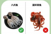 记录奇闻异事的网站？记录奇闻异事的成语？