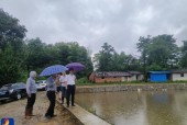 通山15天天气雨报，通山天气预报一周查询？